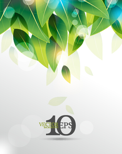 Bright green leaves backgrounds vector graphics 01 leaves background leaves green leaves backgrounds   