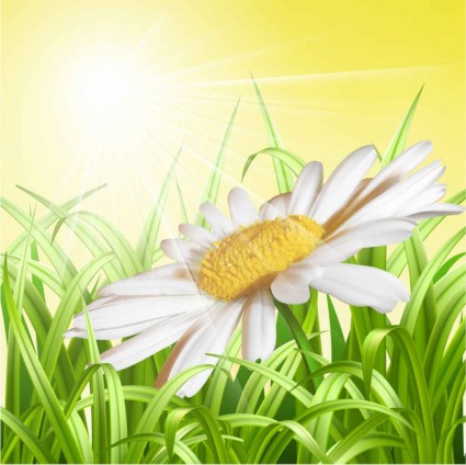 White flower with grass art background vector grass flower background   