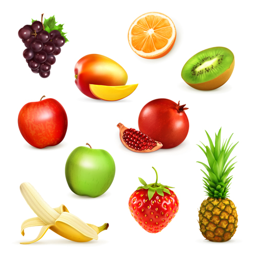 Various fresh fruits vector illustration Various illustration fruits fresh   