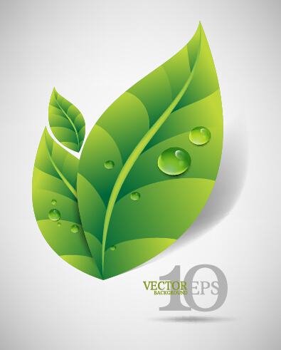 Bright green leaves backgrounds vector graphics 04 leaves background green leaves backgrounds background   