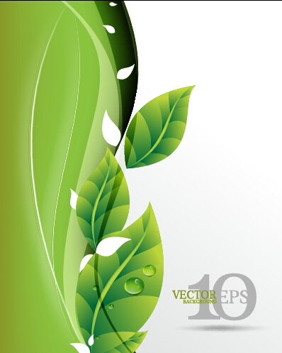 Bright green leaves backgrounds vector graphics 03 leaves background leaves green leaves backgrounds background   