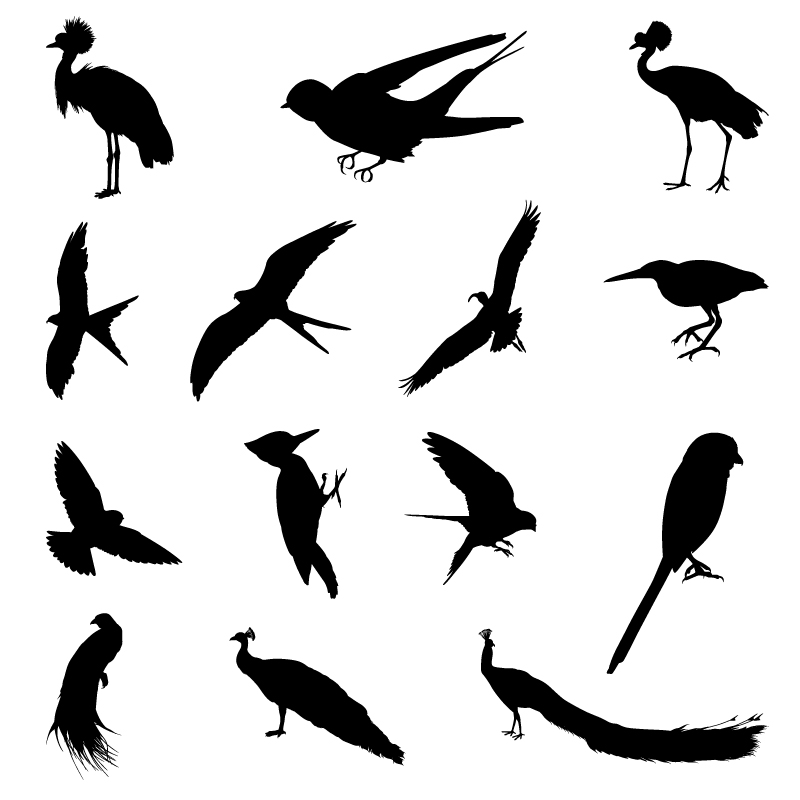 Various birds silhouettes vector set 01 Various silhouettes silhouette birds bird   