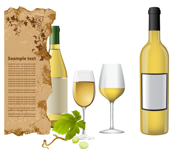 White wine bottle vector wine White wine grape leaves champagne   