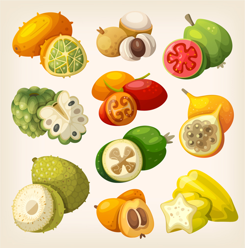 Different fruits design vectors set fruits different   