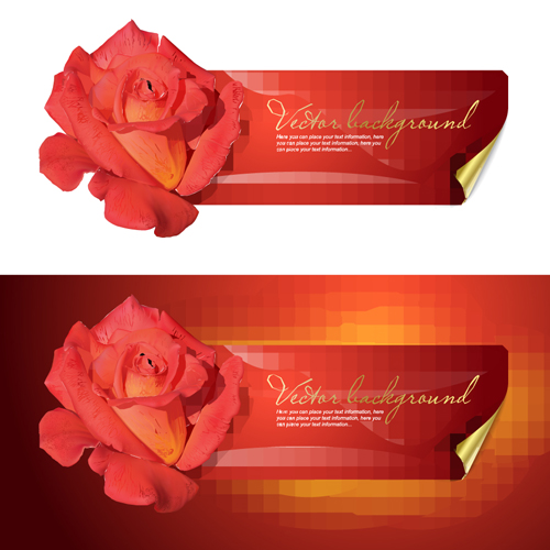 Bright Rose background vector 05 rose bright   