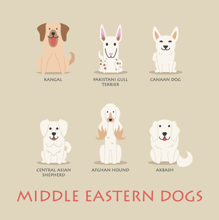 Middle eastern dogs icons vector Middle icons eastern dogs   