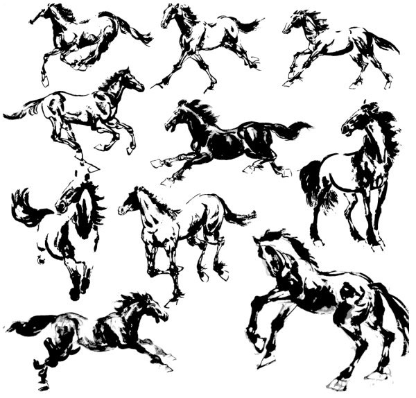 Hand drawn horse vectors set vectors horse hand-draw hand drawn   
