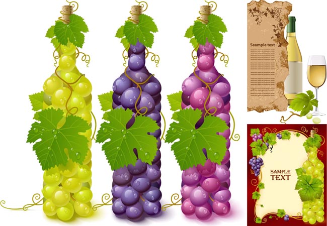 Wine style 96067 wine grape wine   