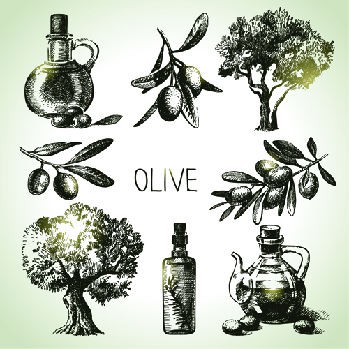 Hand drawn olive elements vector icons olive icons icon hand-draw hand drawn   