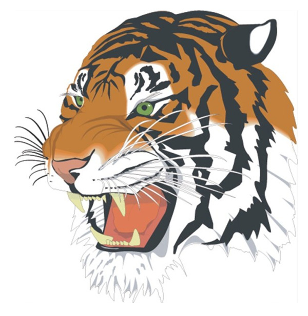 Tiger head vector tiger head   