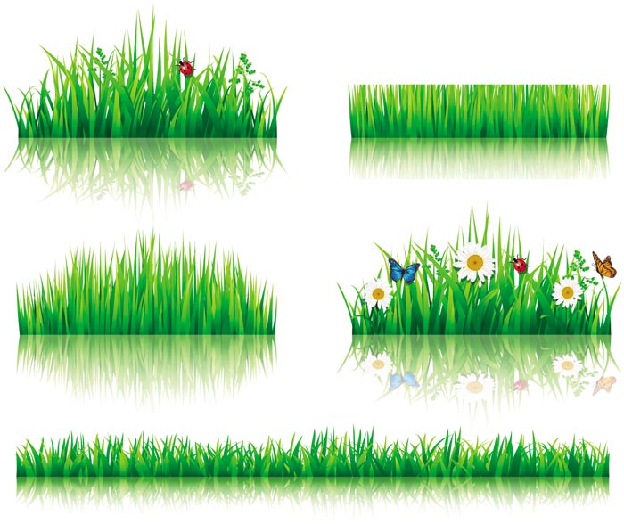 Flower with grass border vector material 03 grass flower Border vector border   