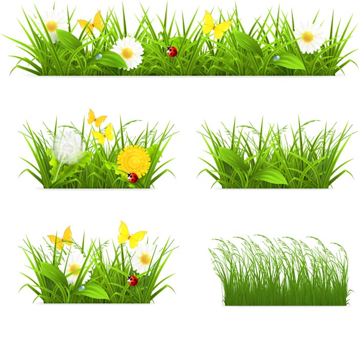 Flower with grass border vector material 01 grass flower Border vector border   