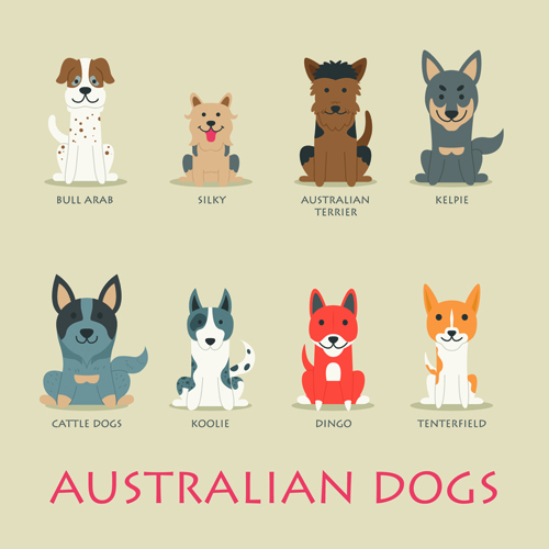 Vector australian dogs icons material material icons dogs Australian   