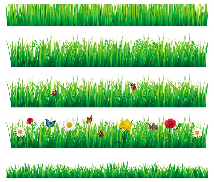 Flower with grass border vector material 02 grass flower Border vector border   