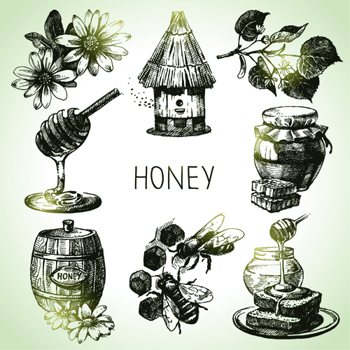 Hand drawn honey elements vector icons icons icon honey hand drawn elements element   