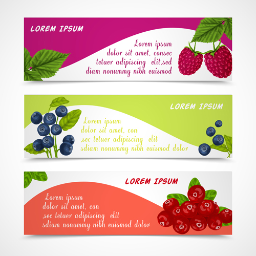 Fresh berry vector banners material material fresh Berry banners banner   