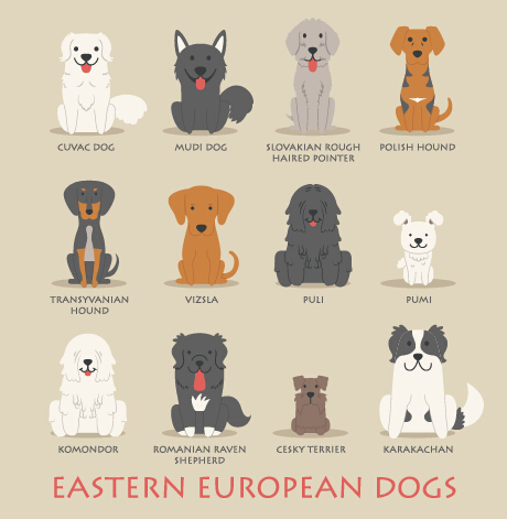 Eastern european dogs icons material icons European eastern dogs   