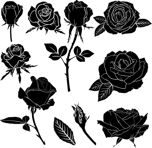 Black rose vector illustration rose illustration black   