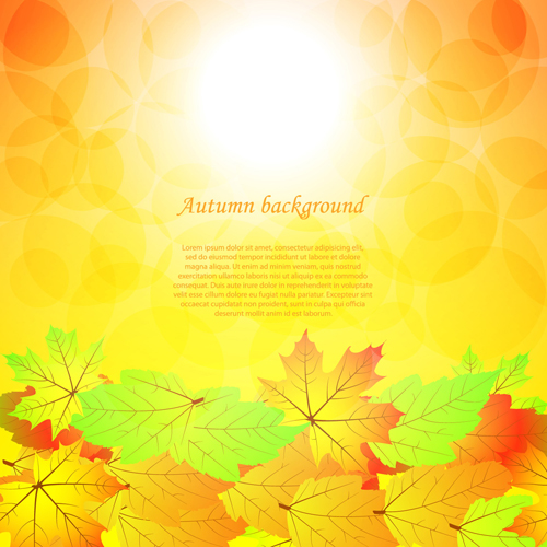 Autumn beautiful background vector set 08 beautiful background vector background autumn   