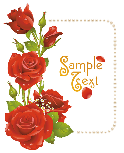 Red rose with pearl background vector   