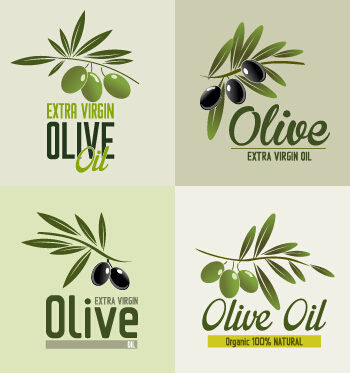 Creative olive oil logos vectors olive oil olive oil logos logo creative   