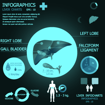 Infographic medical creative vector 02 medical infographic creative   