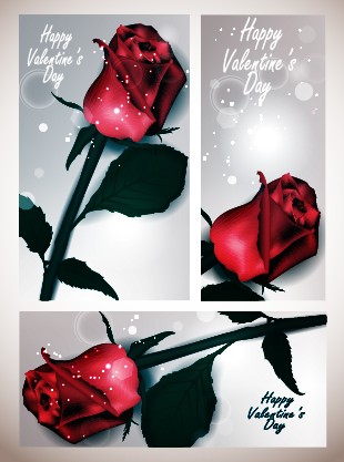 Valentines Day rose cards design vector 03 valentines Valentine rose cards card   