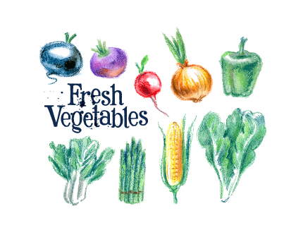 Hand drawn fresh vegetables colored vector 03 vegetables hand drawn fresh colored   