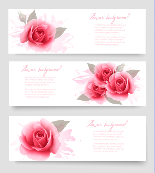 Pink rose banner vector design rose pink banner   