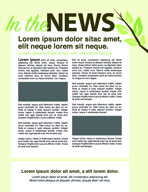 News page layout design vector 05 page news layout design layout   