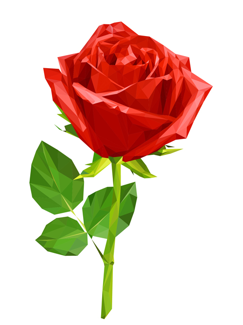 Red rose realitic vector 03 rose red realitic   
