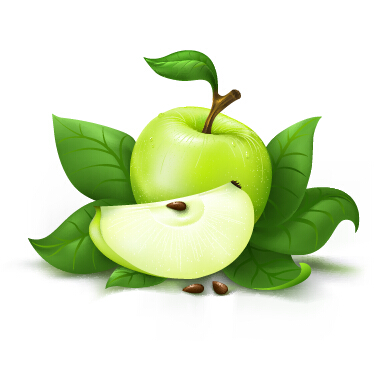 Fresh green apple design vector green fresh apple   