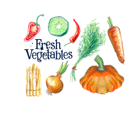 Hand drawn fresh vegetables colored vector 02 vegetables hand drawn fresh colored   