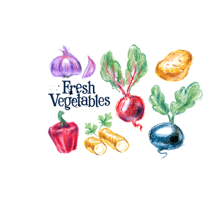 Hand drawn fresh vegetables colored vector 01 vegetables hand drawn fresh colored   