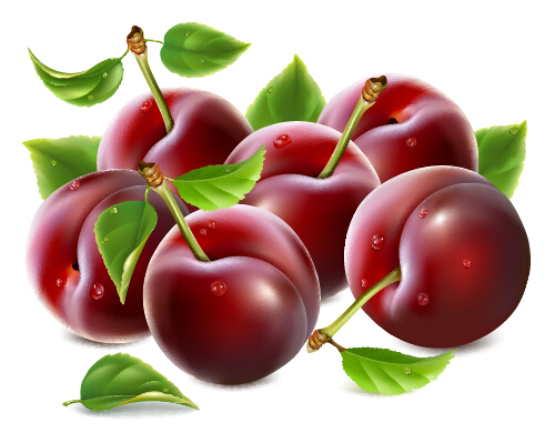 Ripe fresh cherry creative vector Ripe fresh creative cherry   