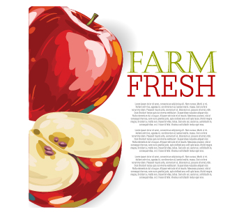 Vector farm fresh fruit background design 07 fruit Farm-Fresh background   