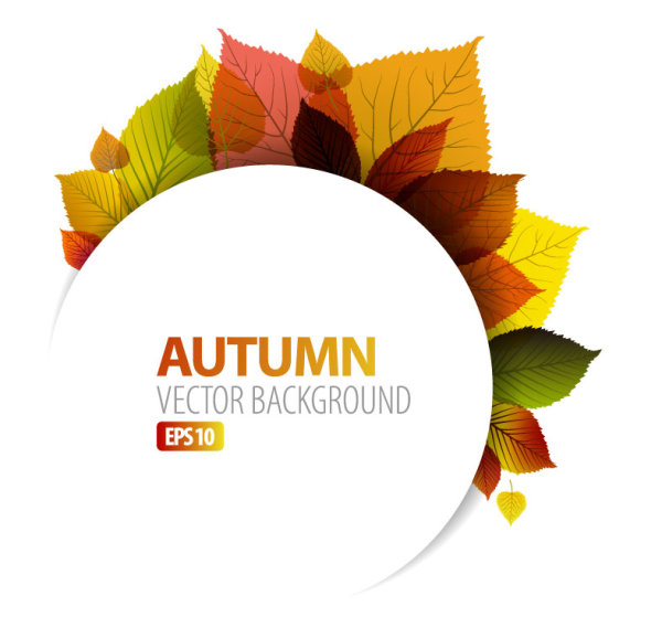 autumn leaves elements background vector set 05 leaves leave elements element autumn   