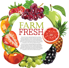 Vector farm fresh fruit background design 08 fruit Farm-Fresh background   