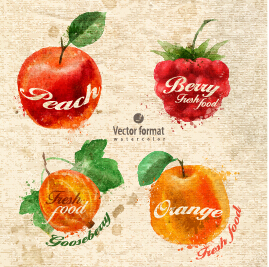 Drawn watercolor fruits vector design set 08 watercolor fruits drawn   