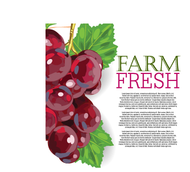 Vector farm fresh fruit background design 11 fruit Farm-Fresh background   