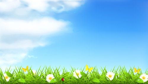 Summer with Flowers Backgrounds 01 with Flowers summer flowers flower backgrounds background   