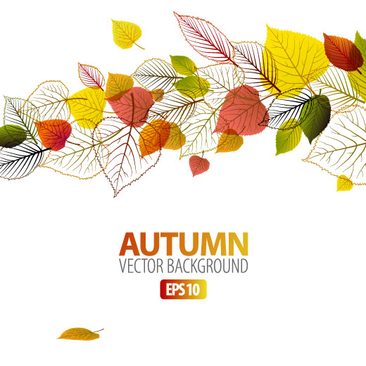 autumn leaves elements background vector set 04 leaves leave elements element autumn   