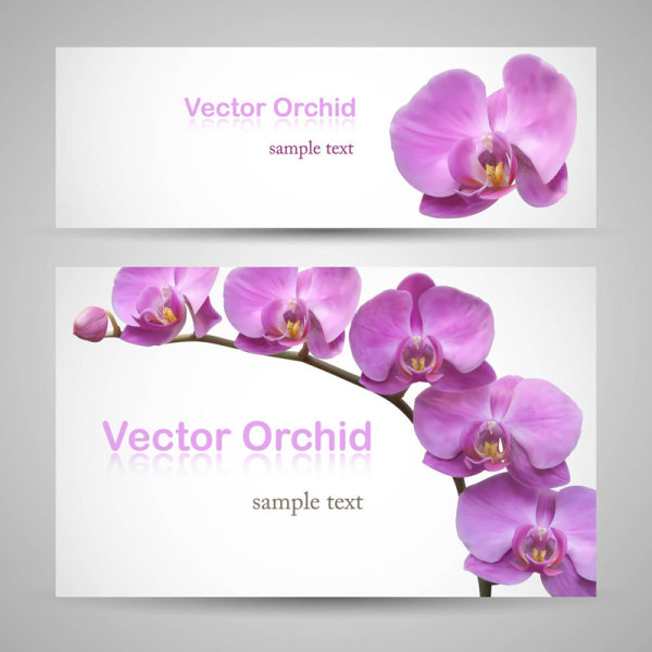 Vivid with flower banner design vector 02 vivid flower banner   