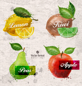 Drawn watercolor fruits vector design set 06 watercolor fruits drawn   