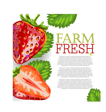 Vector farm fresh fruit background design 05 fruit Farm-Fresh background   