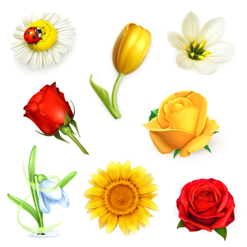 Different flowers design vectors material material flowers flower different   