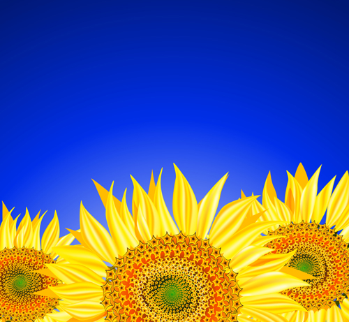 Beautiful sunflowers background vector 01 sunflower beautiful background   