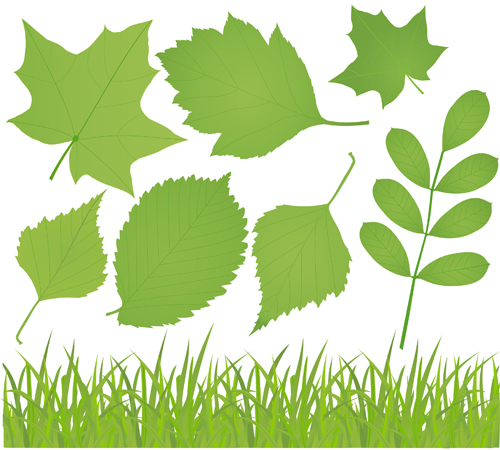 Different leaves design elements vector 01 leaves elements element different   