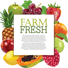 Vector farm fresh fruit background design 04 fruit Farm-Fresh background   