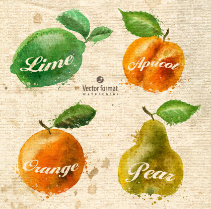 Drawn watercolor fruits vector design set 02 watercolor fruits drawn   